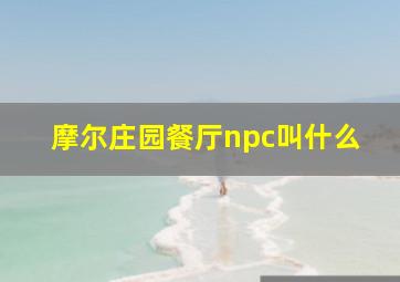 摩尔庄园餐厅npc叫什么