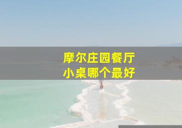 摩尔庄园餐厅小桌哪个最好