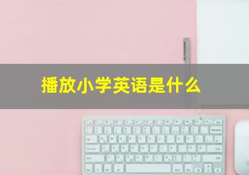 播放小学英语是什么