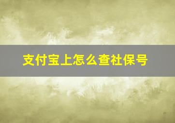 支付宝上怎么查社保号