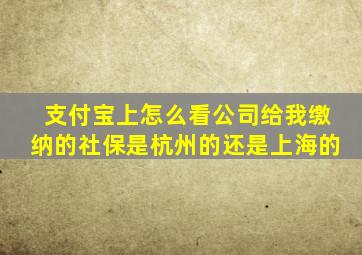 支付宝上怎么看公司给我缴纳的社保是杭州的还是上海的