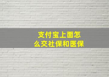 支付宝上面怎么交社保和医保