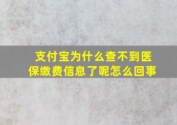 支付宝为什么查不到医保缴费信息了呢怎么回事