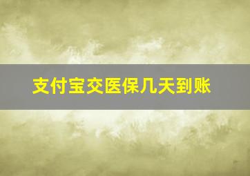 支付宝交医保几天到账