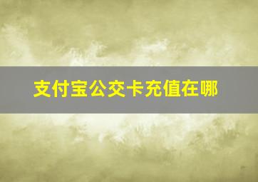 支付宝公交卡充值在哪