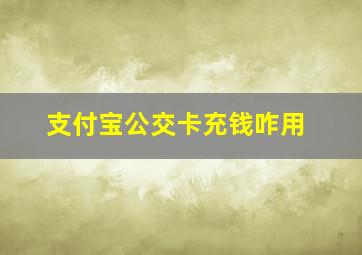 支付宝公交卡充钱咋用