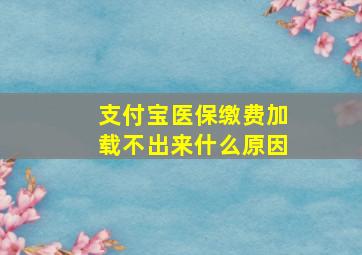 支付宝医保缴费加载不出来什么原因