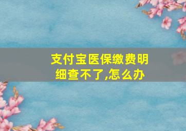 支付宝医保缴费明细查不了,怎么办