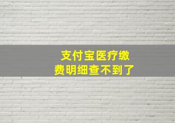 支付宝医疗缴费明细查不到了