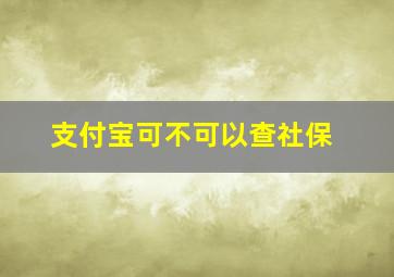 支付宝可不可以查社保