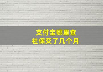 支付宝哪里查社保交了几个月