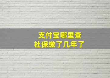 支付宝哪里查社保缴了几年了