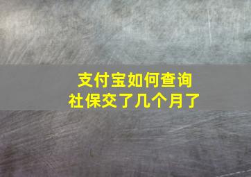 支付宝如何查询社保交了几个月了