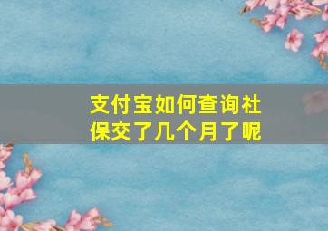 支付宝如何查询社保交了几个月了呢