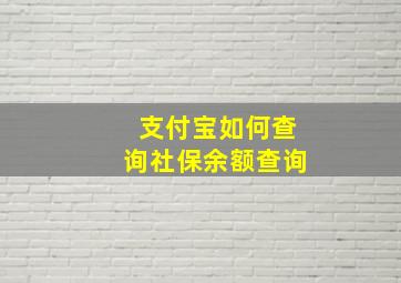 支付宝如何查询社保余额查询