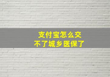 支付宝怎么交不了城乡医保了