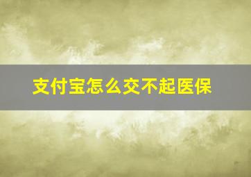 支付宝怎么交不起医保