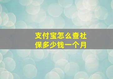 支付宝怎么查社保多少钱一个月