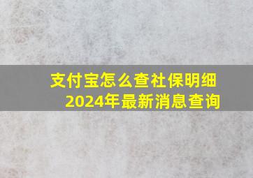 支付宝怎么查社保明细2024年最新消息查询