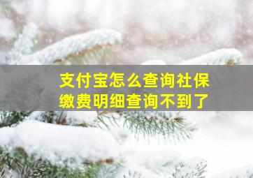 支付宝怎么查询社保缴费明细查询不到了