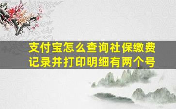 支付宝怎么查询社保缴费记录并打印明细有两个号