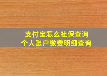 支付宝怎么社保查询个人账户缴费明细查询