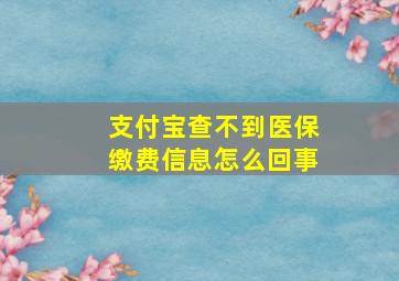 支付宝查不到医保缴费信息怎么回事