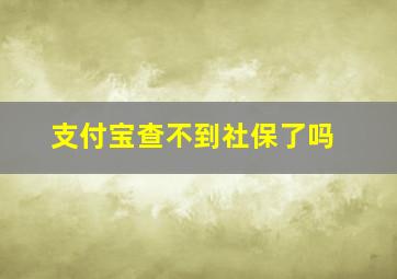 支付宝查不到社保了吗