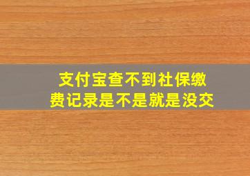 支付宝查不到社保缴费记录是不是就是没交