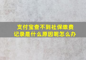 支付宝查不到社保缴费记录是什么原因呢怎么办