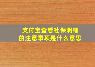 支付宝查看社保明细的注意事项是什么意思