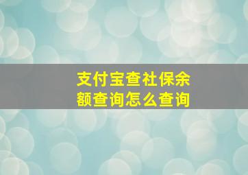 支付宝查社保余额查询怎么查询