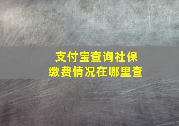 支付宝查询社保缴费情况在哪里查