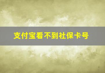 支付宝看不到社保卡号