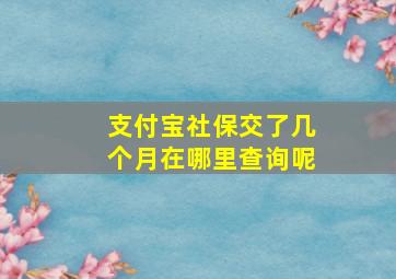 支付宝社保交了几个月在哪里查询呢