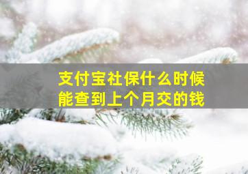 支付宝社保什么时候能查到上个月交的钱