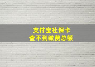 支付宝社保卡查不到缴费总额