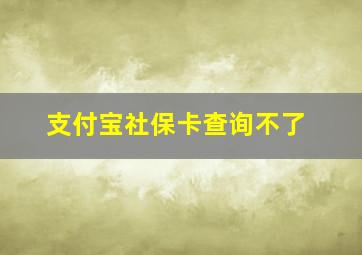 支付宝社保卡查询不了