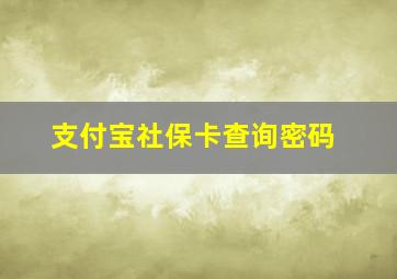 支付宝社保卡查询密码