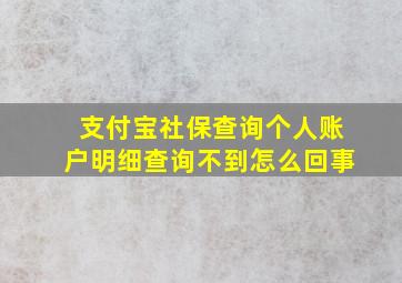 支付宝社保查询个人账户明细查询不到怎么回事