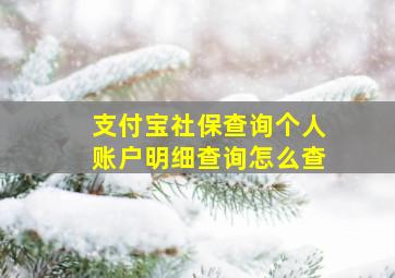 支付宝社保查询个人账户明细查询怎么查