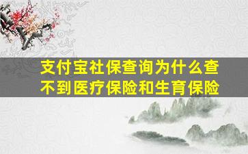 支付宝社保查询为什么查不到医疗保险和生育保险