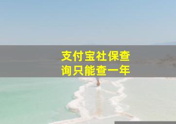 支付宝社保查询只能查一年