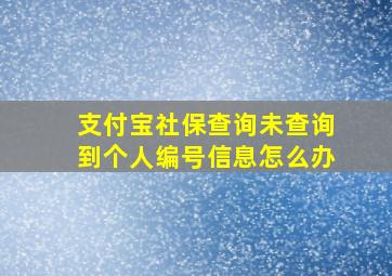 支付宝社保查询未查询到个人编号信息怎么办