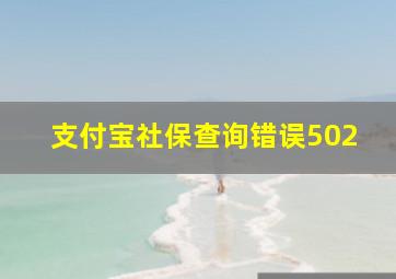 支付宝社保查询错误502