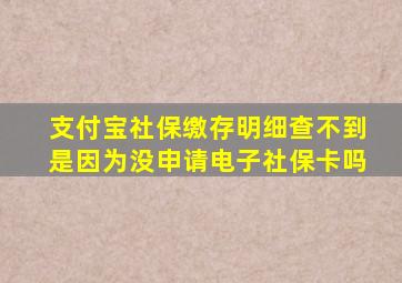 支付宝社保缴存明细查不到是因为没申请电子社保卡吗