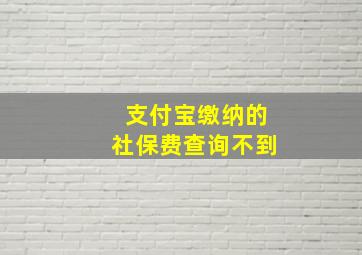 支付宝缴纳的社保费查询不到