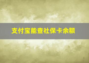 支付宝能查社保卡余额