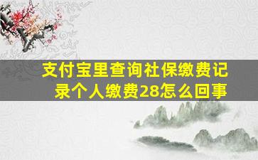 支付宝里查询社保缴费记录个人缴费28怎么回事