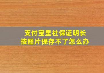 支付宝里社保证明长按图片保存不了怎么办